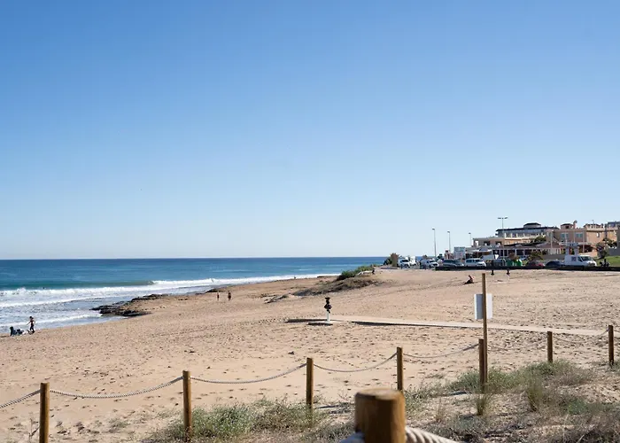 Terrace La Mata Apartman