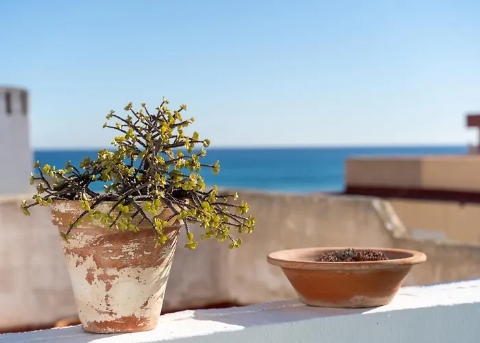 Terrace La Mata